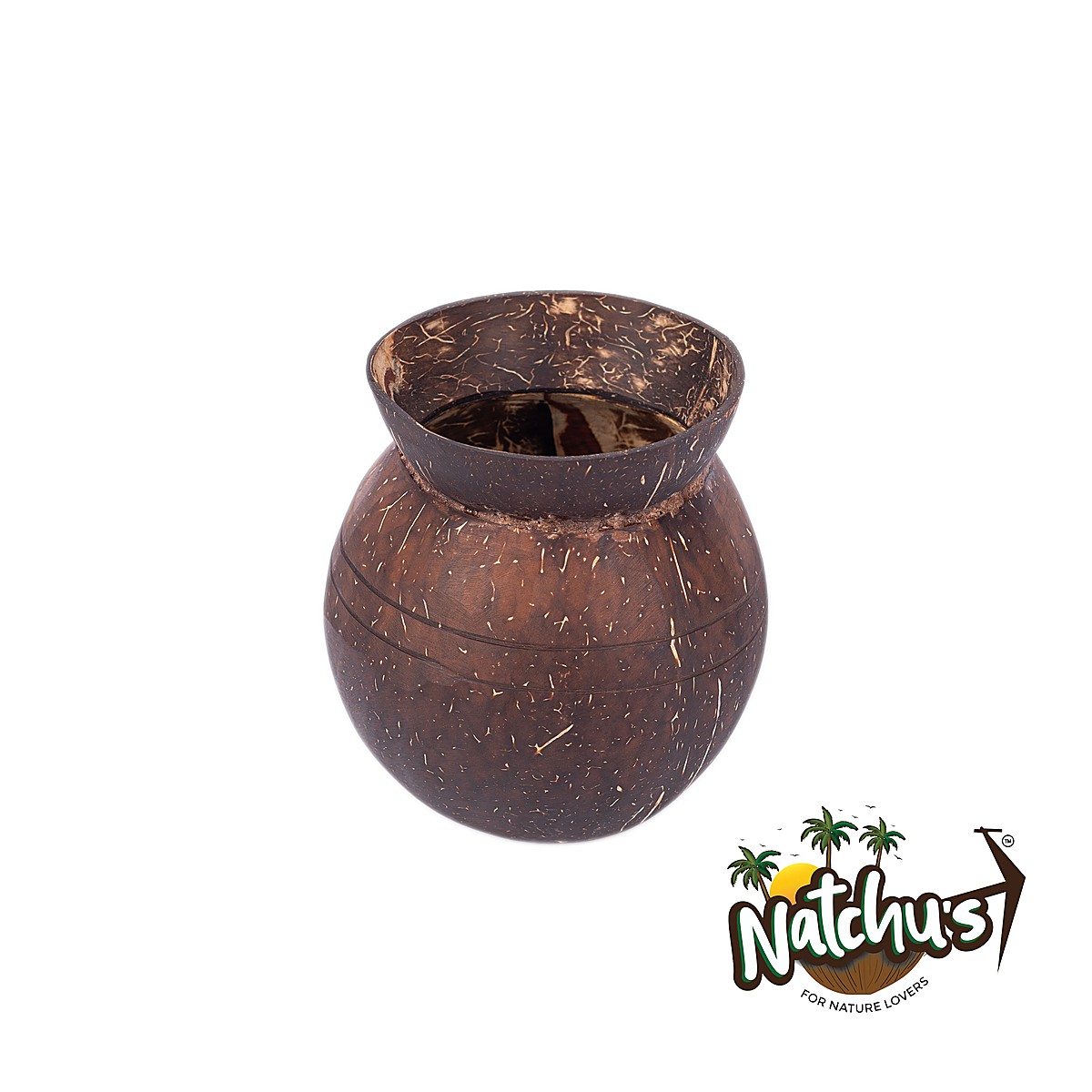 Indoor Planter - Pot Shape (Set of 1)