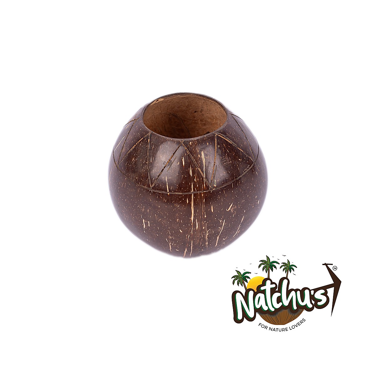 Indoor Planter - Bowl Shape (Set of 1)